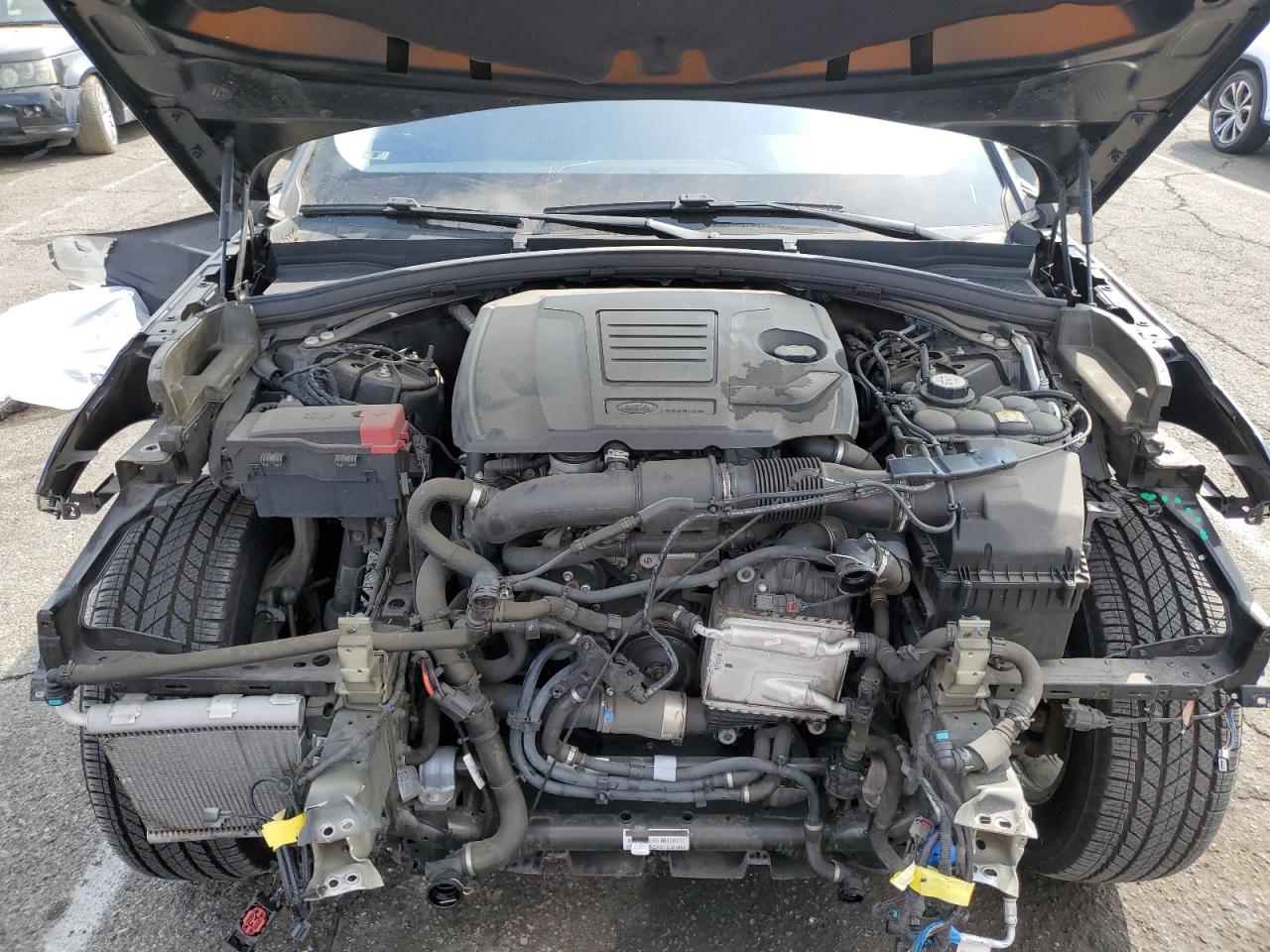 2019 Land Rover Range Rover Velar VIN: SALYA2EXXKA217305 Lot: 80733845