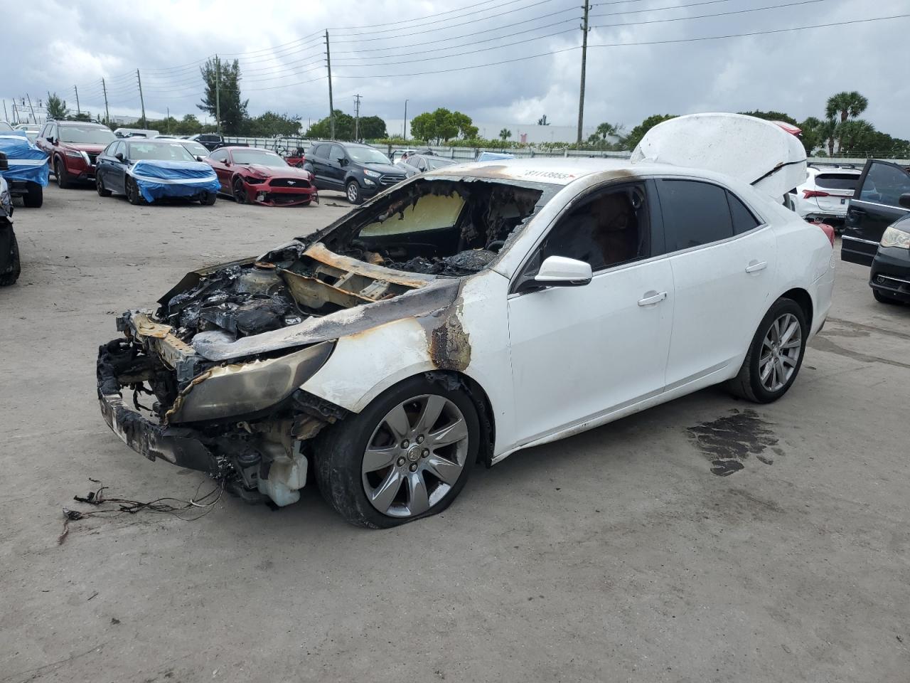 1G11E5SL9EF287426 CHEVROLET MALIBU Photo 1