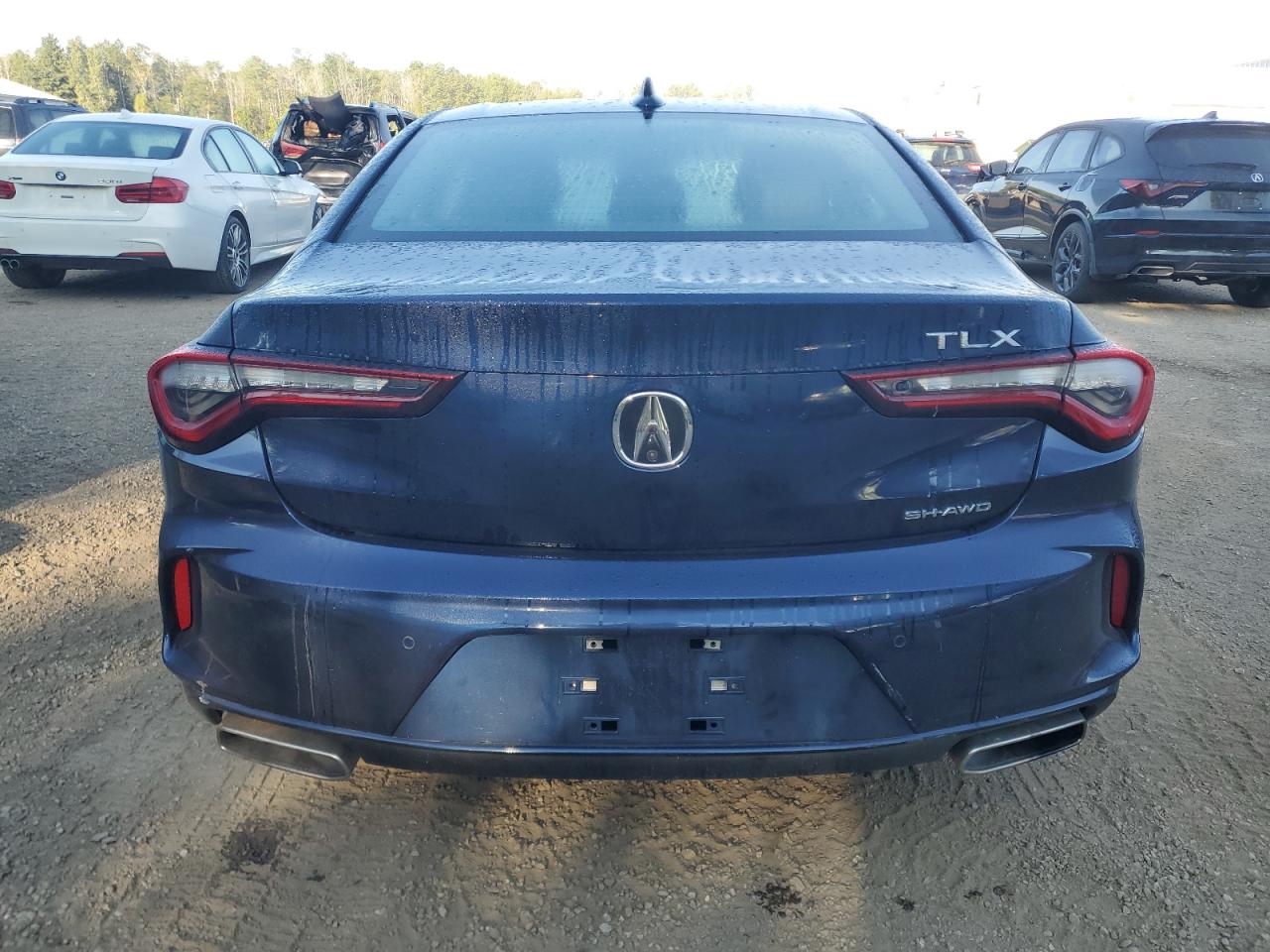 2021 Acura Tlx Technology VIN: 19UUB6F46MA801395 Lot: 80325625