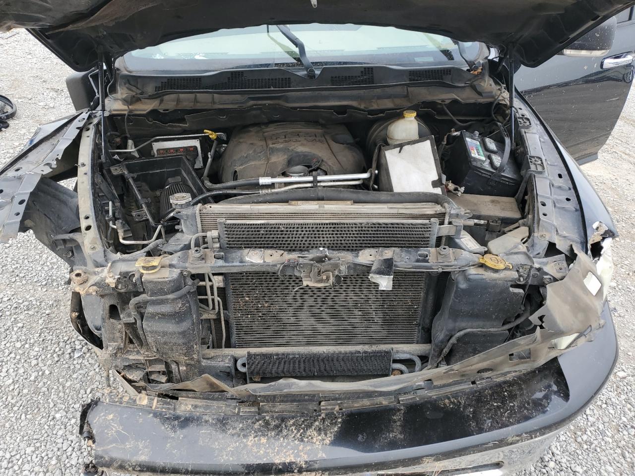 2010 Dodge Ram 1500 VIN: 1D7RV1GT7AS119061 Lot: 71626695