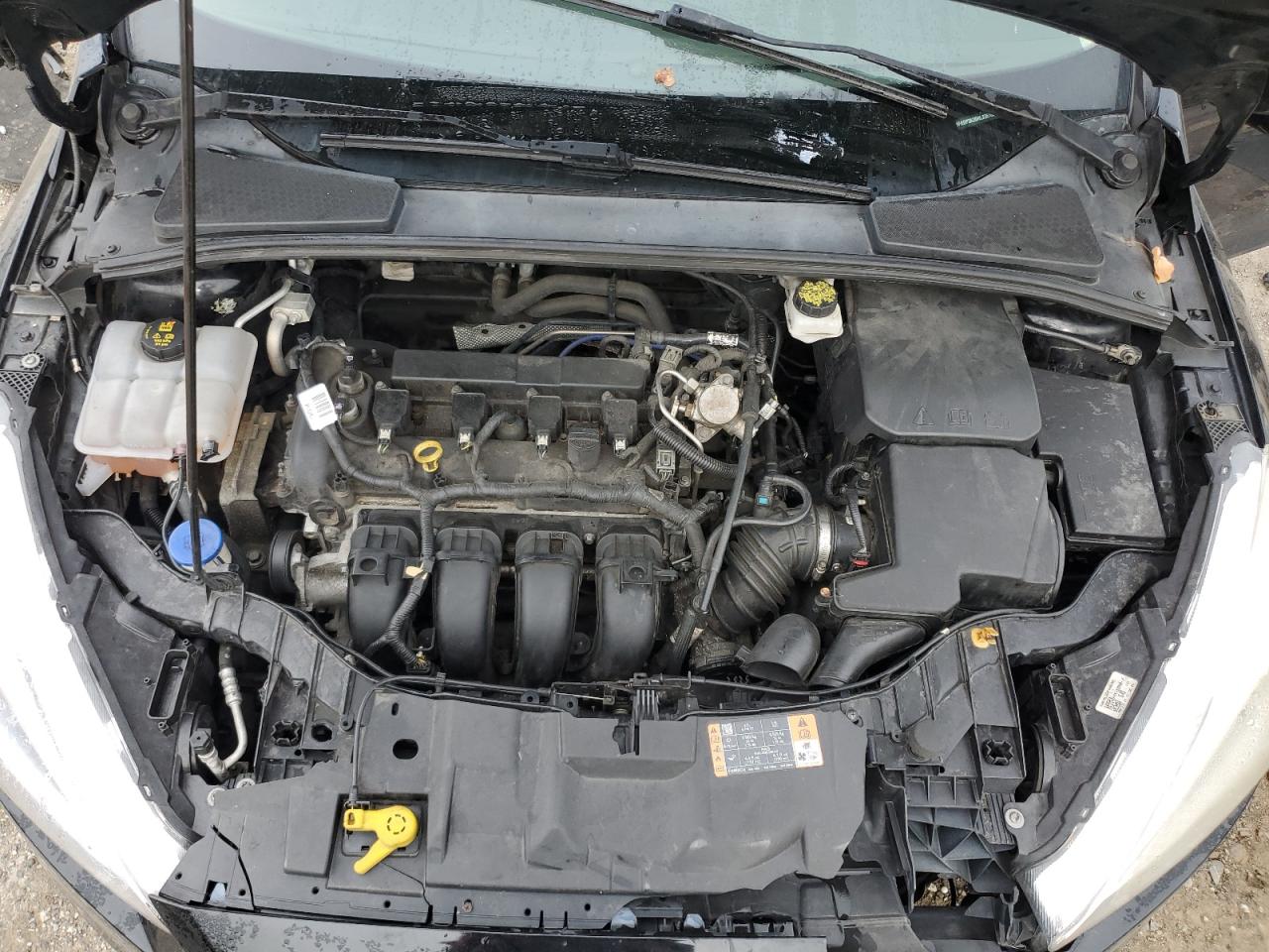 2017 Ford Focus Se VIN: 1FADP3K20HL336180 Lot: 81776355