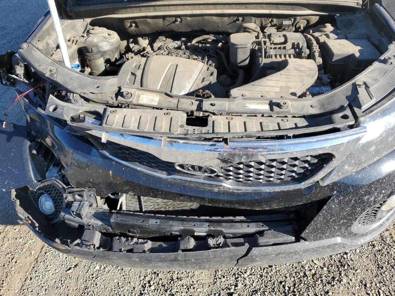 2012 Kia Sorento Ex VIN: 5XYKU4A21CG298626 Lot: 81763355