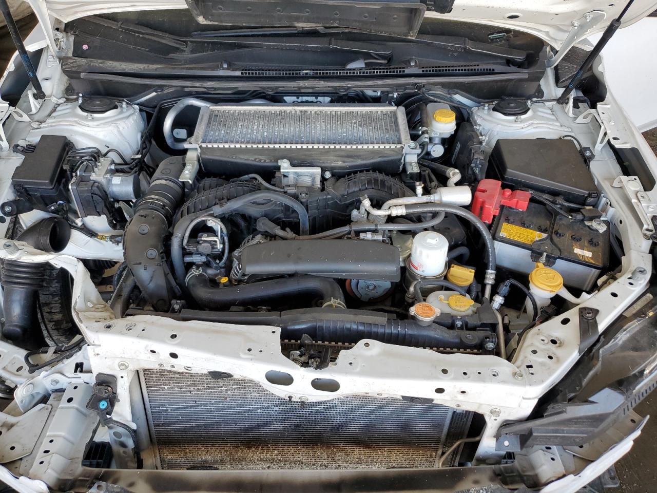 2024 Subaru Wrx Premium VIN: JF1VBAH60R9818258 Lot: 80204215