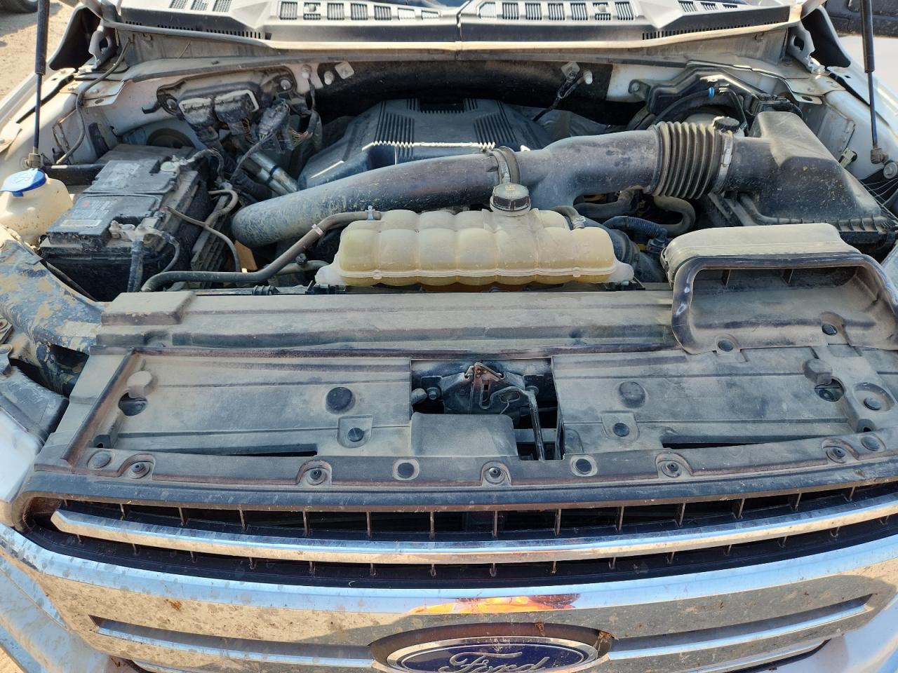 2019 Ford F150 VIN: 1FTNF1E42KKE68423 Lot: 81227495