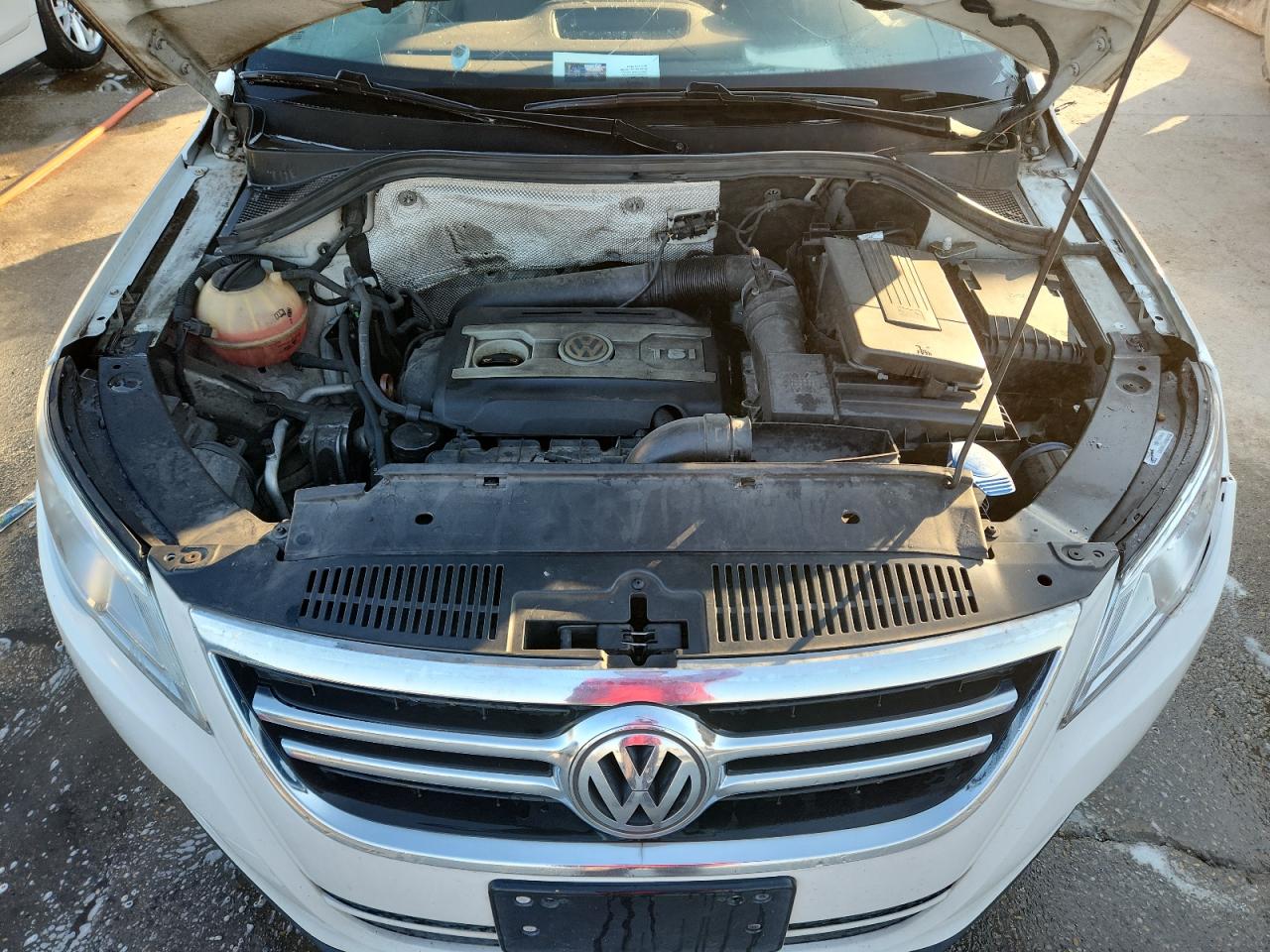 2010 Volkswagen Tiguan S VIN: WVGAV7AX6AW514164 Lot: 71193945