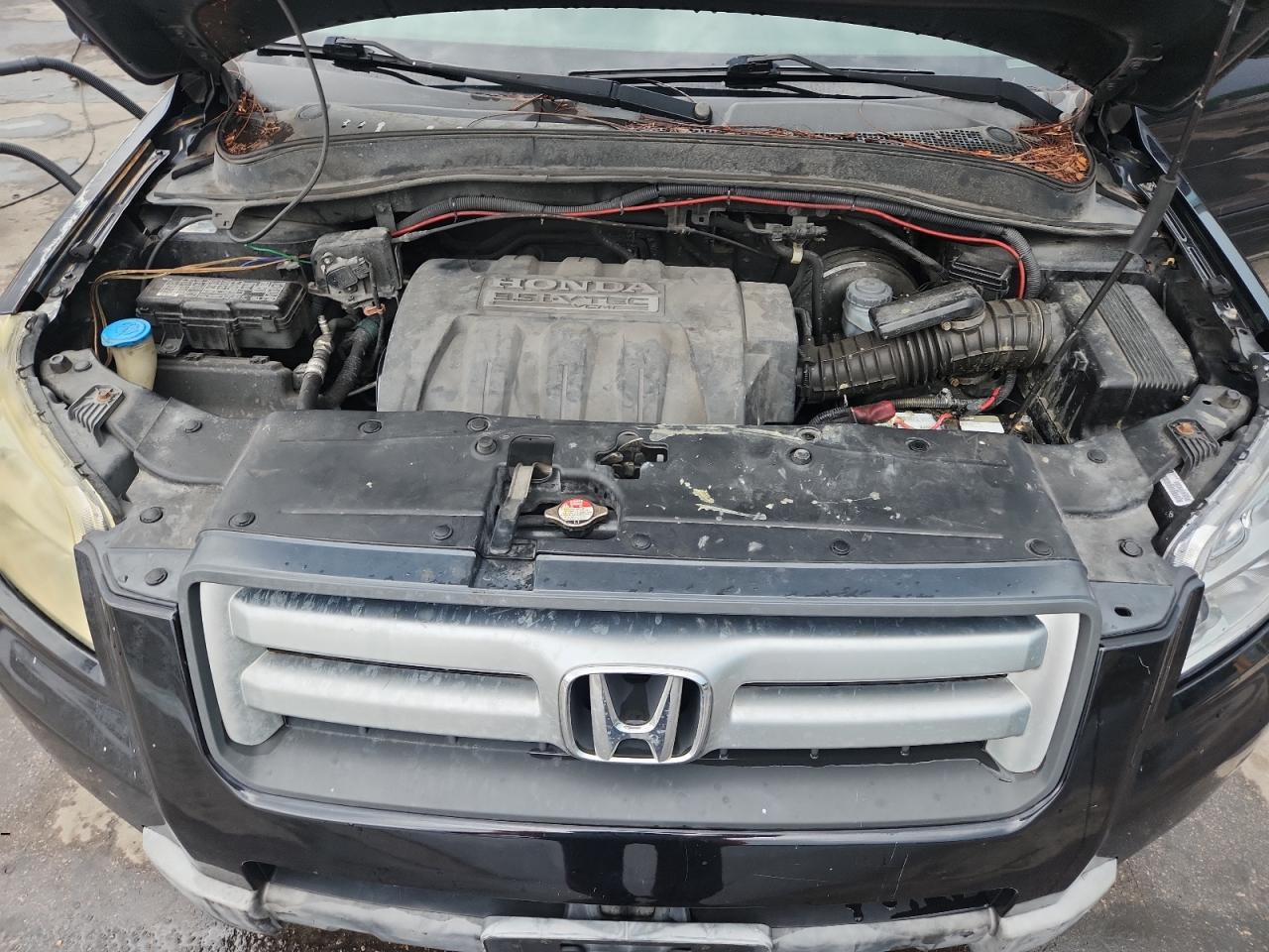 2006 Honda Pilot Ex VIN: 5FNYF28676B039491 Lot: 62075565