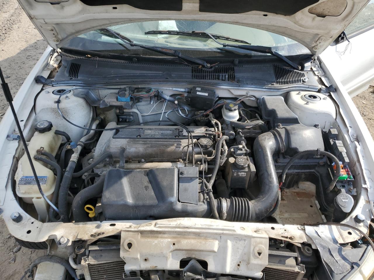 2004 Chevrolet Cavalier VIN: 1G1JC52F347282389 Lot: 81105285