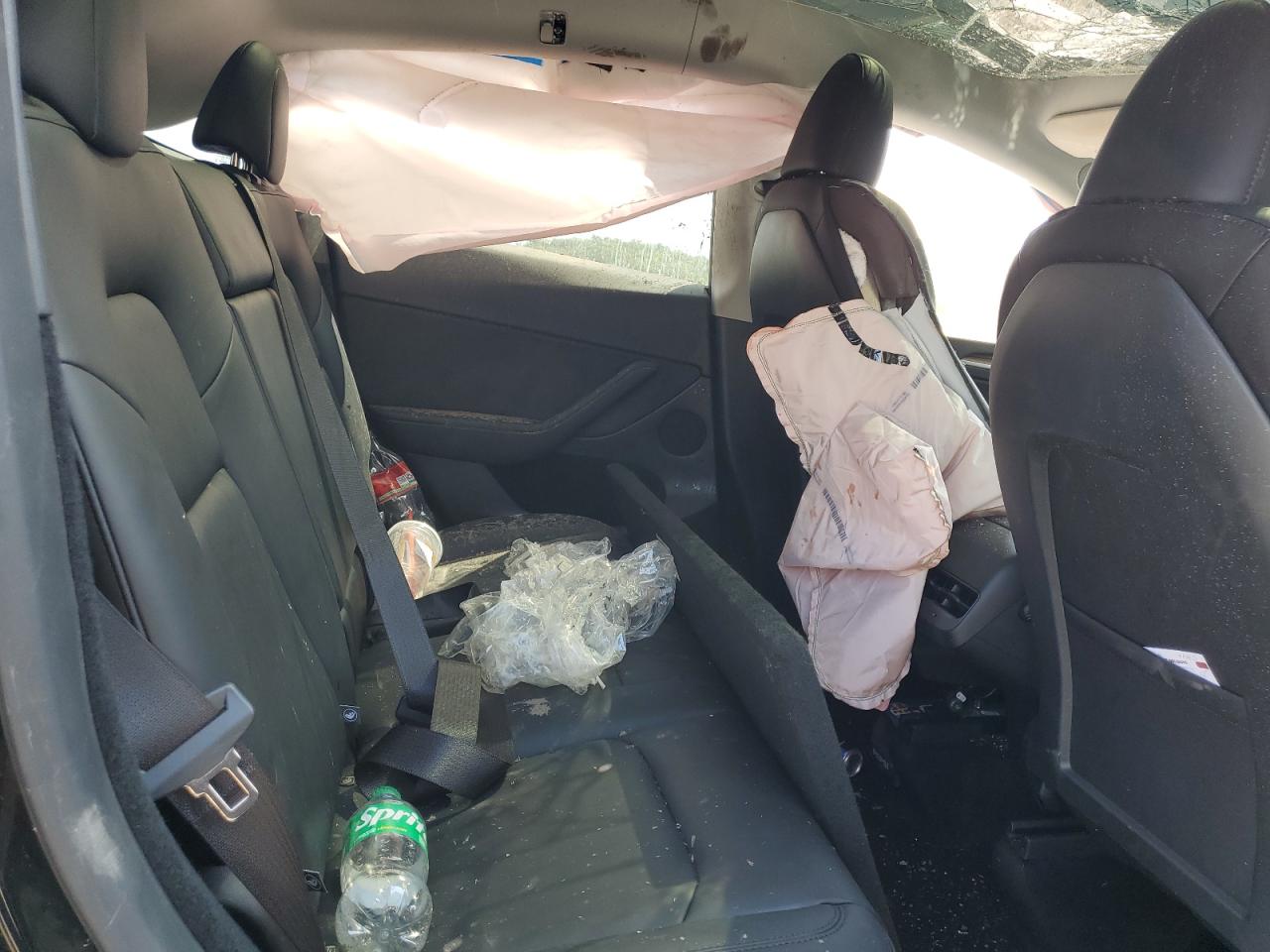 2024 Tesla Model Y VIN: 7SAYGDED6RF206541 Lot: 81378765