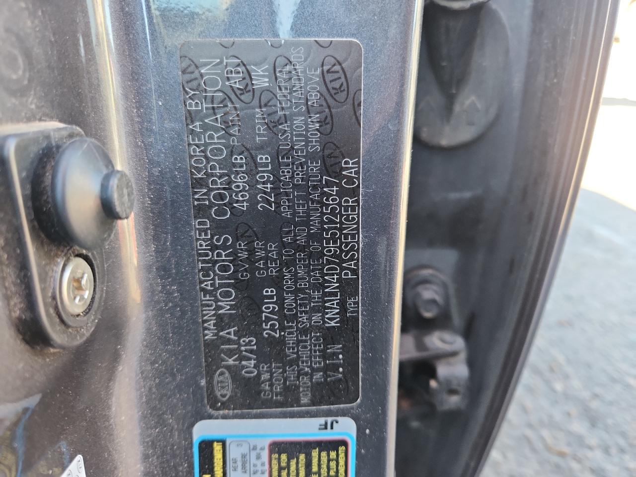 2014 Kia Cadenza Premium VIN: KNALN4D79E5125647 Lot: 80866315