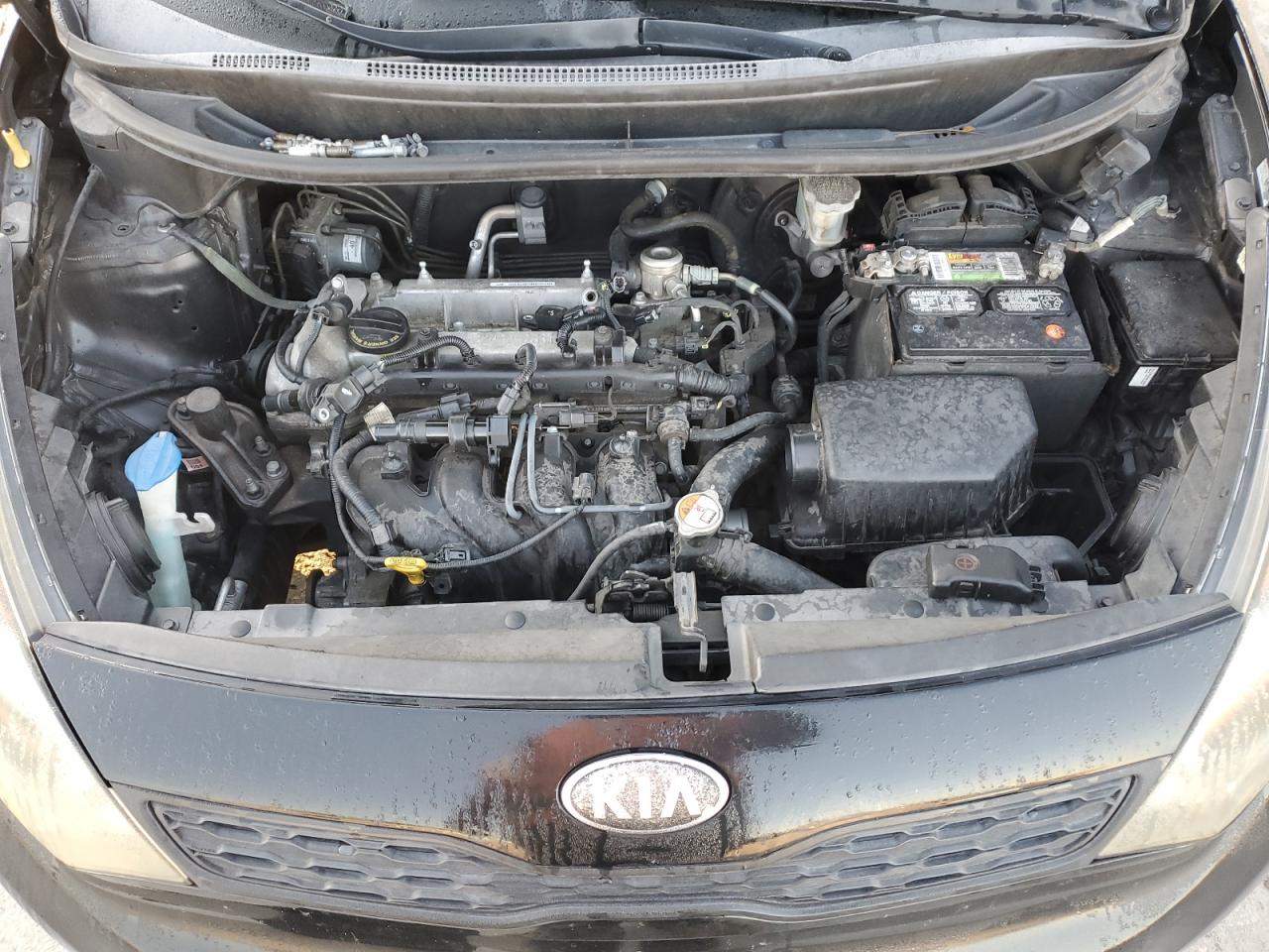 2014 Kia Rio Lx VIN: KNADM5A38E6346410 Lot: 81430255