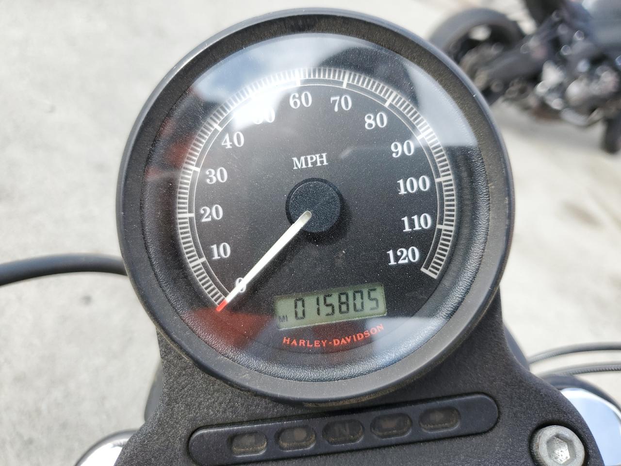 2013 Harley-Davidson Xl883 Iron 883 VIN: 1HD4LE237DC449241 Lot: 84413475