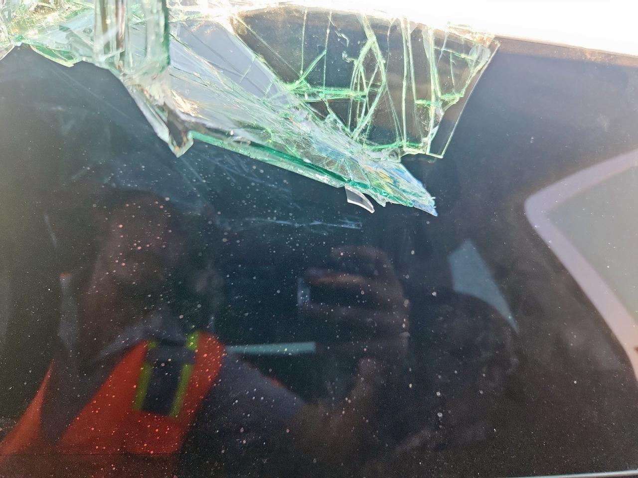 2024 Tesla Model Y VIN: 7SAYGDED4RA304478 Lot: 80226085