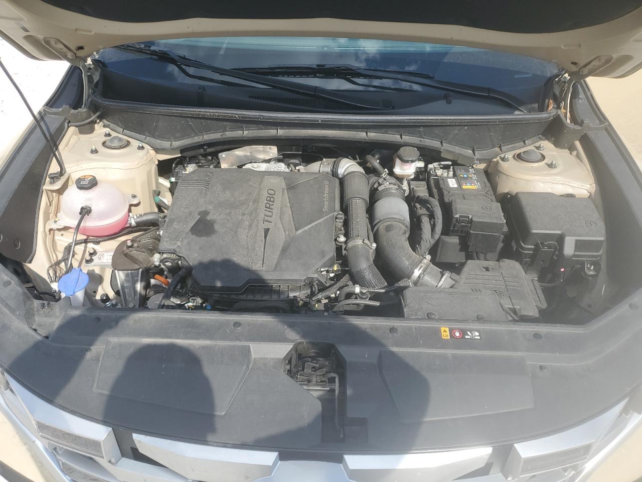 2023 Hyundai Santa Cruz Sel Premium VIN: 5NTJDDAF5PH069025 Lot: 81416205