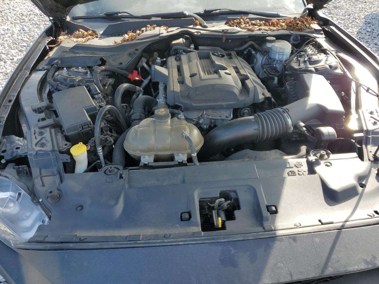 2018 Ford Mustang VIN: 1FA6P8TH6J5125942 Lot: 71808005