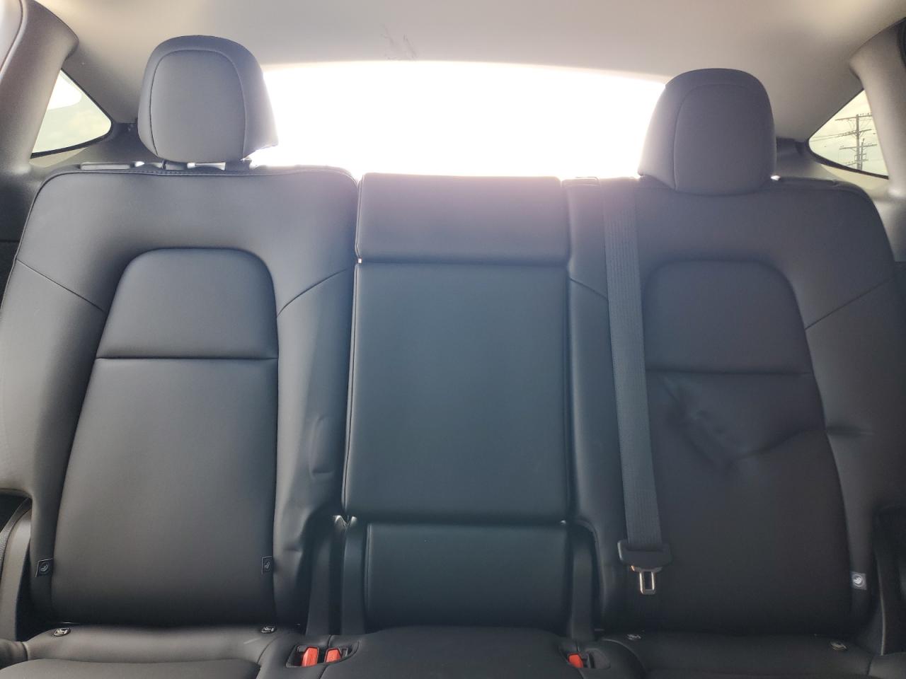 2025 Tesla Model Y VIN: 7SAYGDED1SF320663 Lot: 82079035