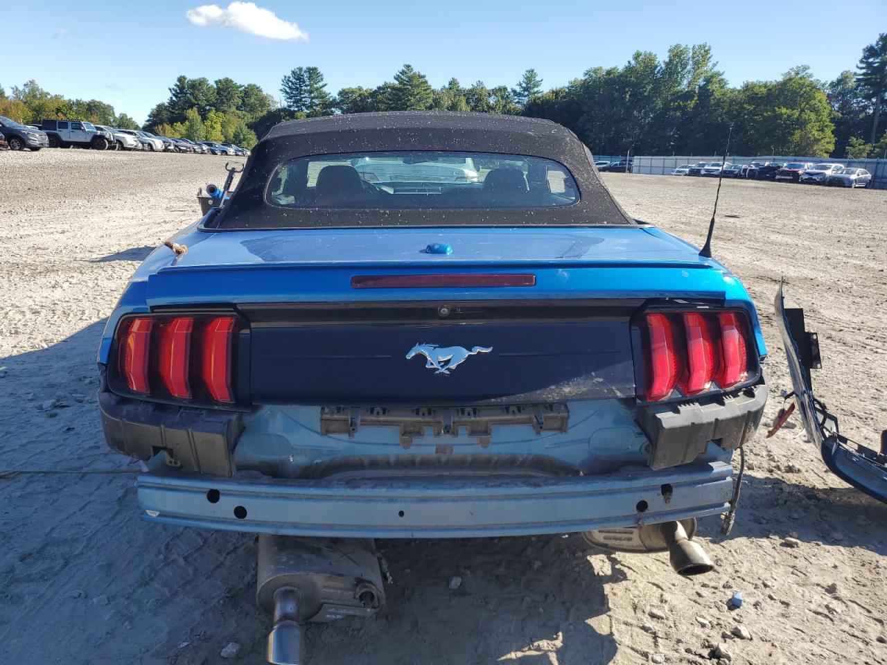 2019 Ford Mustang VIN: 1FATP8UH8K5142048 Lot: 81548825