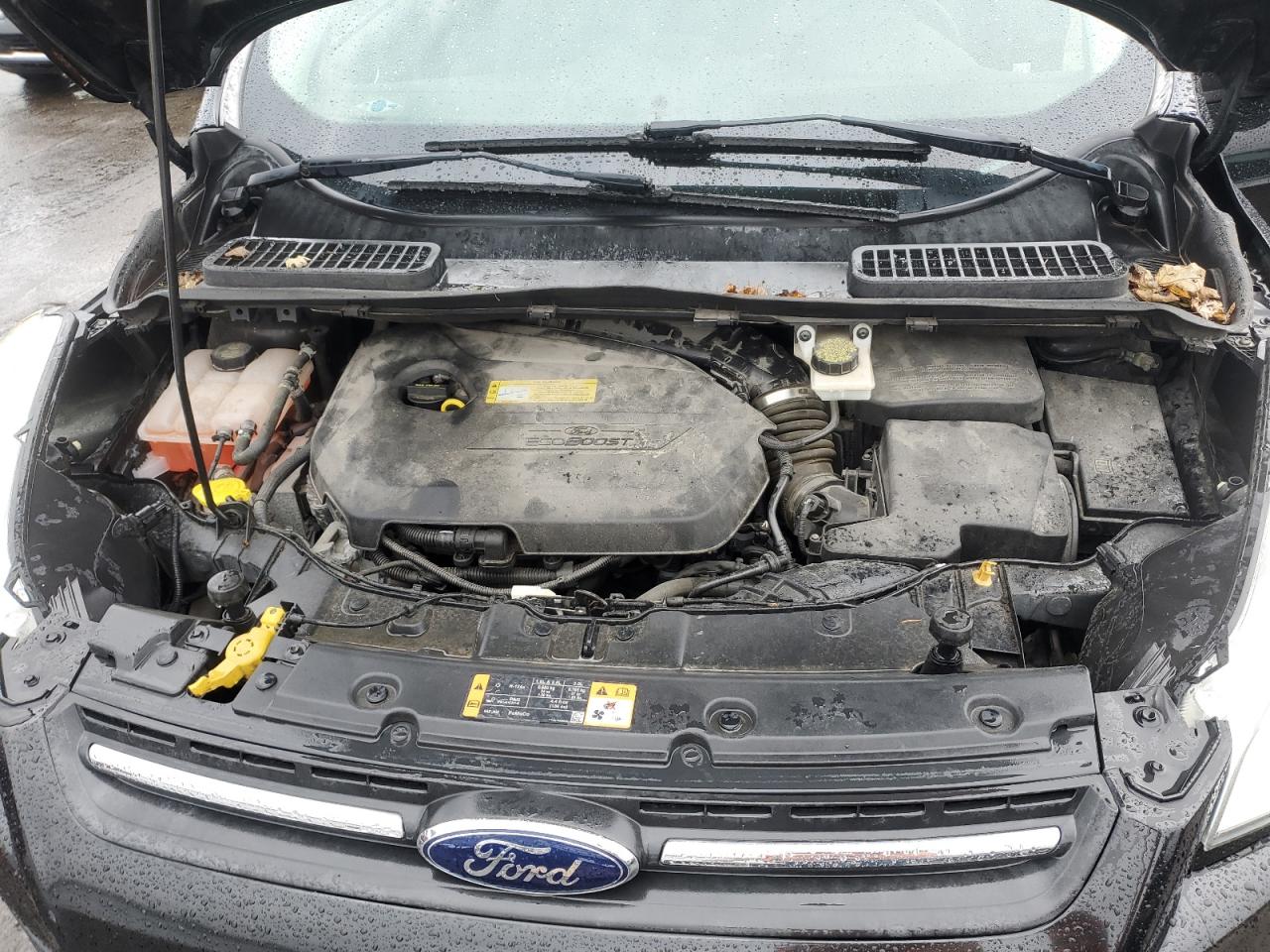 2014 Ford Escape Se VIN: 1FMCU0GX4EUC90727 Lot: 81599445