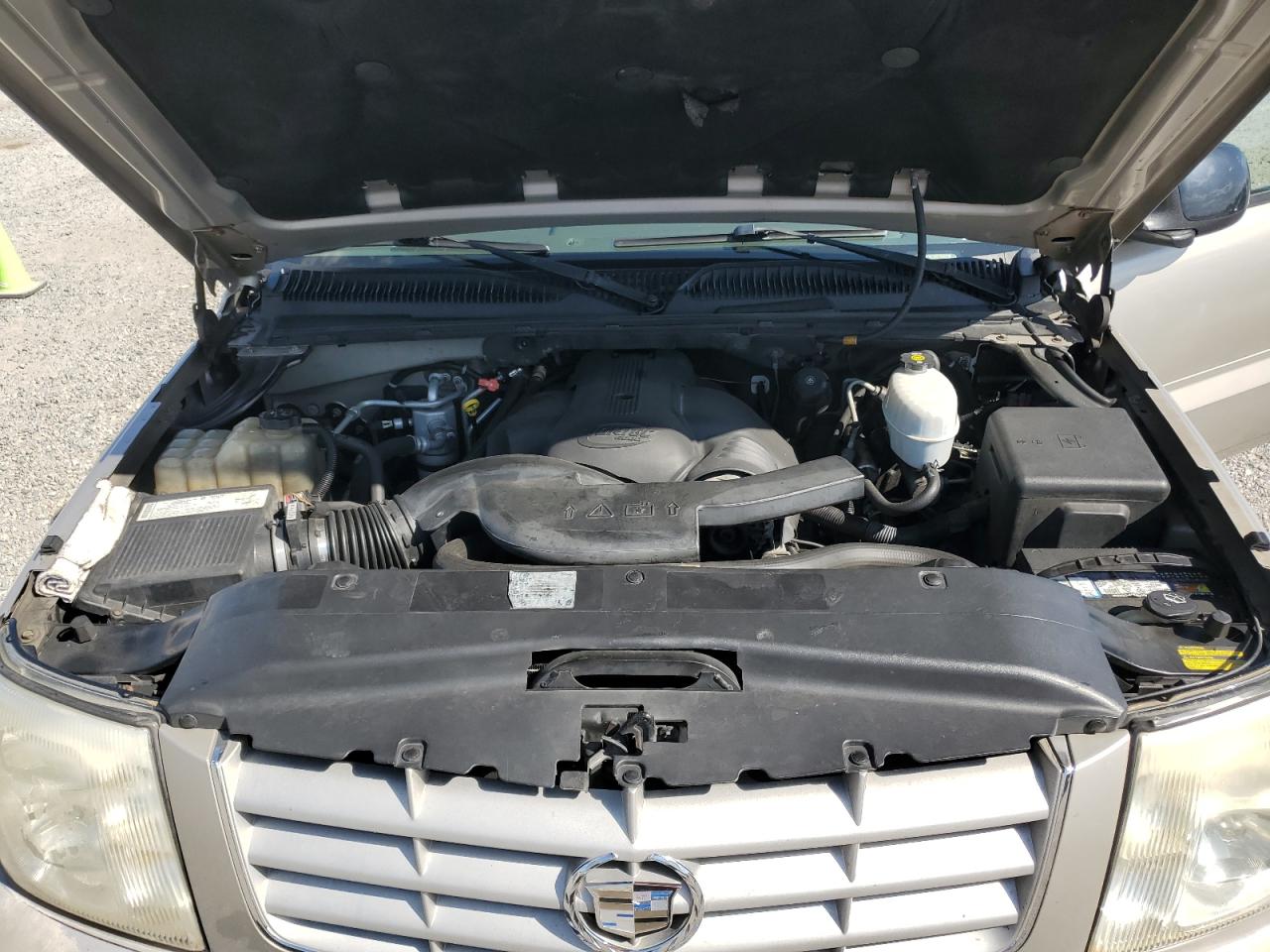 2005 Cadillac Escalade Luxury VIN: 1GYEK63N05R201629 Lot: 81021425