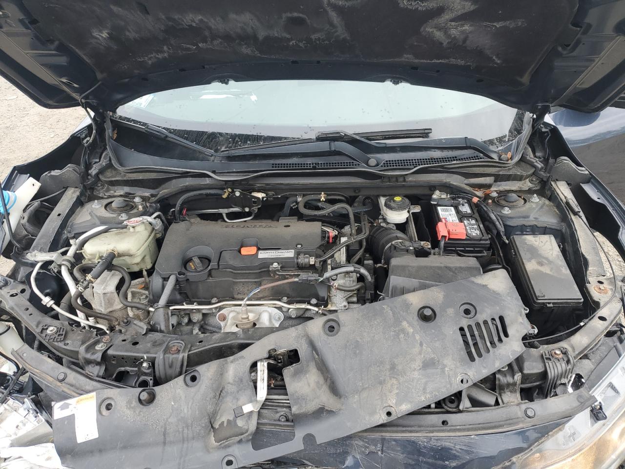 2019 Honda Civic Lx VIN: 2HGFC2F61KH555984 Lot: 71990545