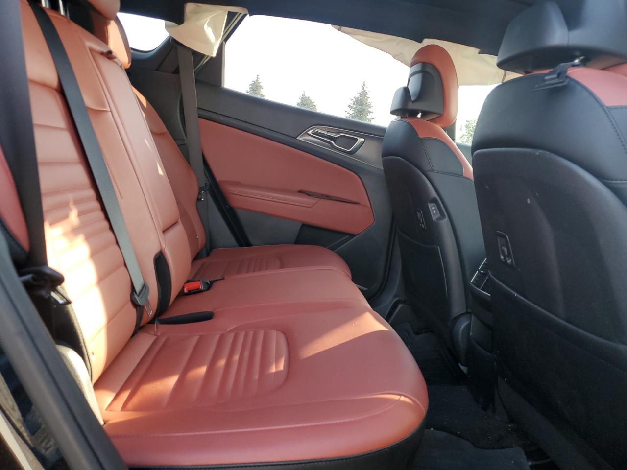 2023 Kia Sportage Sx VIN: 5XYK43AF6PG114879 Lot: 80007895