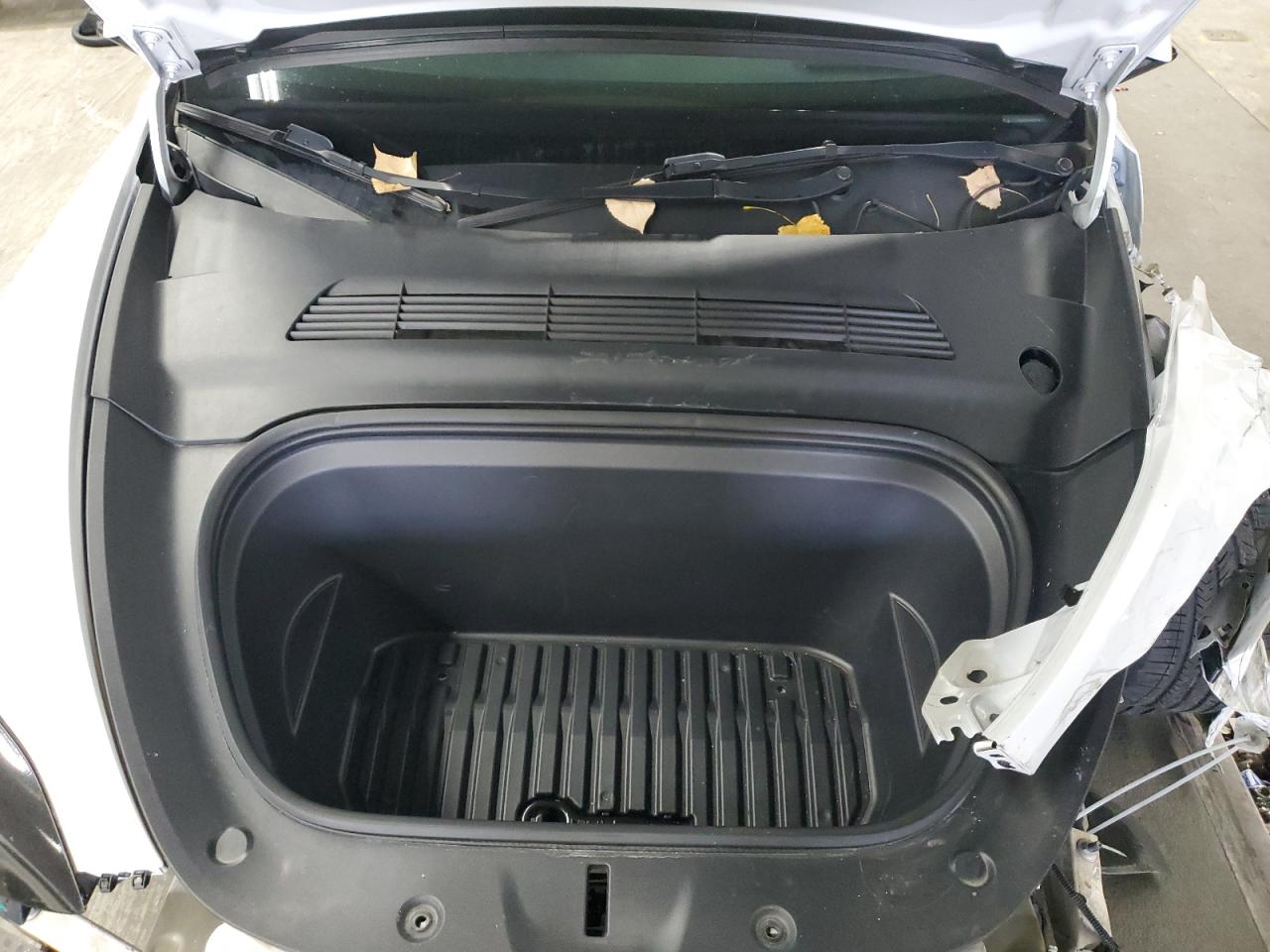 2023 Tesla Model Y VIN: 7SAYGDEF5PF807728 Lot: 81274505