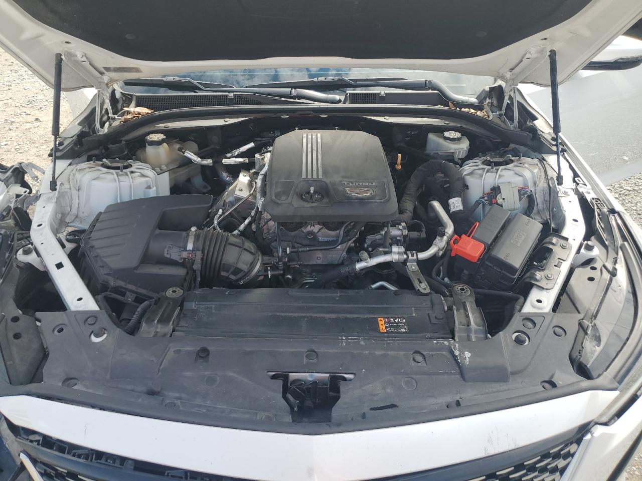 2020 Cadillac Ct5 Premium Luxury VIN: 1G6DN5RK4L0148874 Lot: 71453085