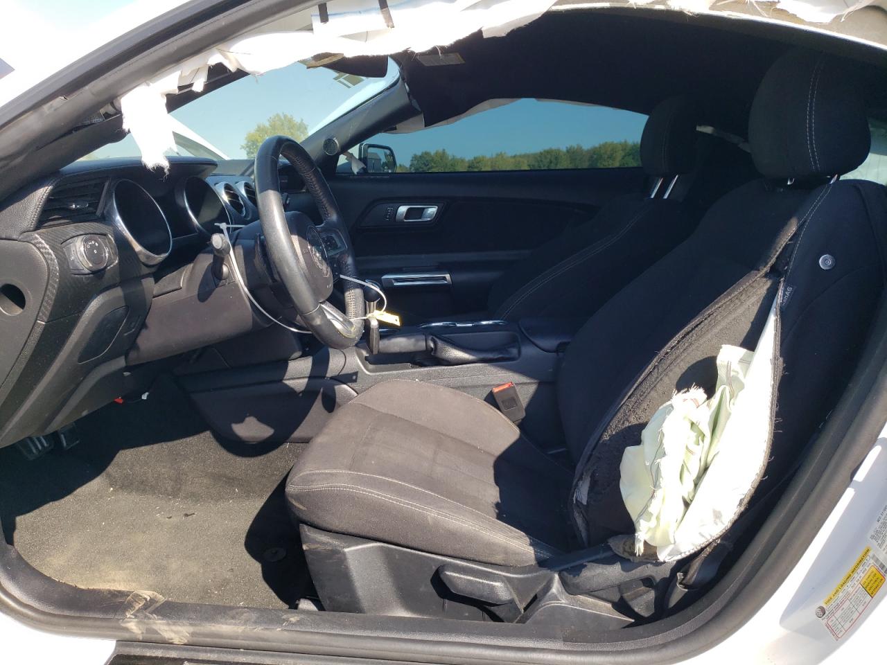 2018 Ford Mustang VIN: 1FA6P8TH4J5127267 Lot: 80652055