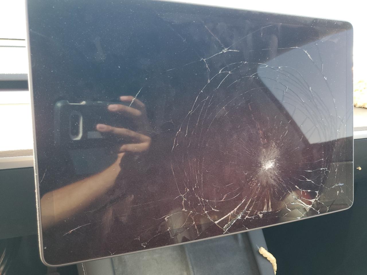 2023 Tesla Model Y VIN: 7SAYGDEE0PA032744 Lot: 84433575