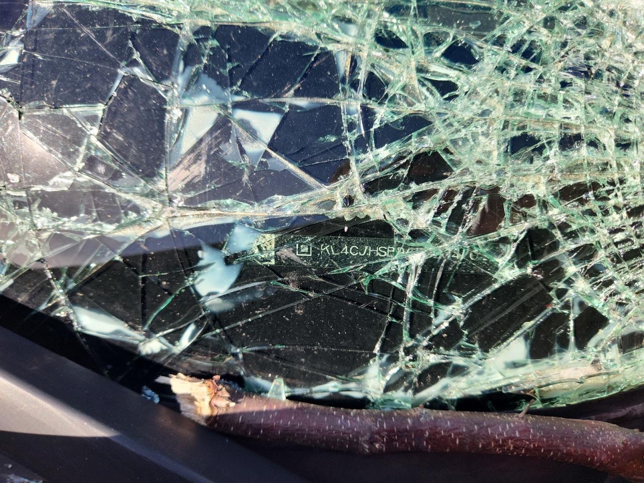 2014 Buick Encore Premium VIN: KL4CJHSB9EB520470 Lot: 70975965