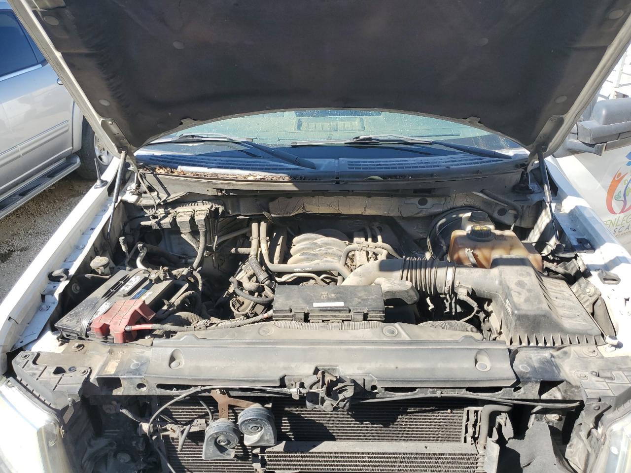 2013 Ford F150 VIN: 1FTNF1CF5DKE17957 Lot: 81813115