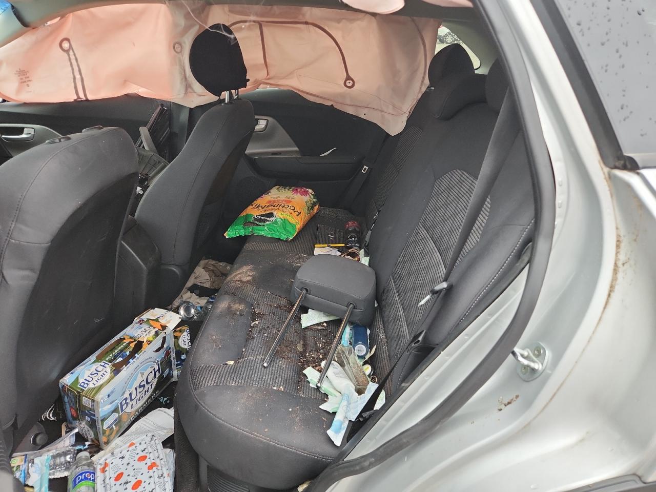 2017 Kia Niro Fe VIN: KNDCB3LC3H5051134 Lot: 81788445