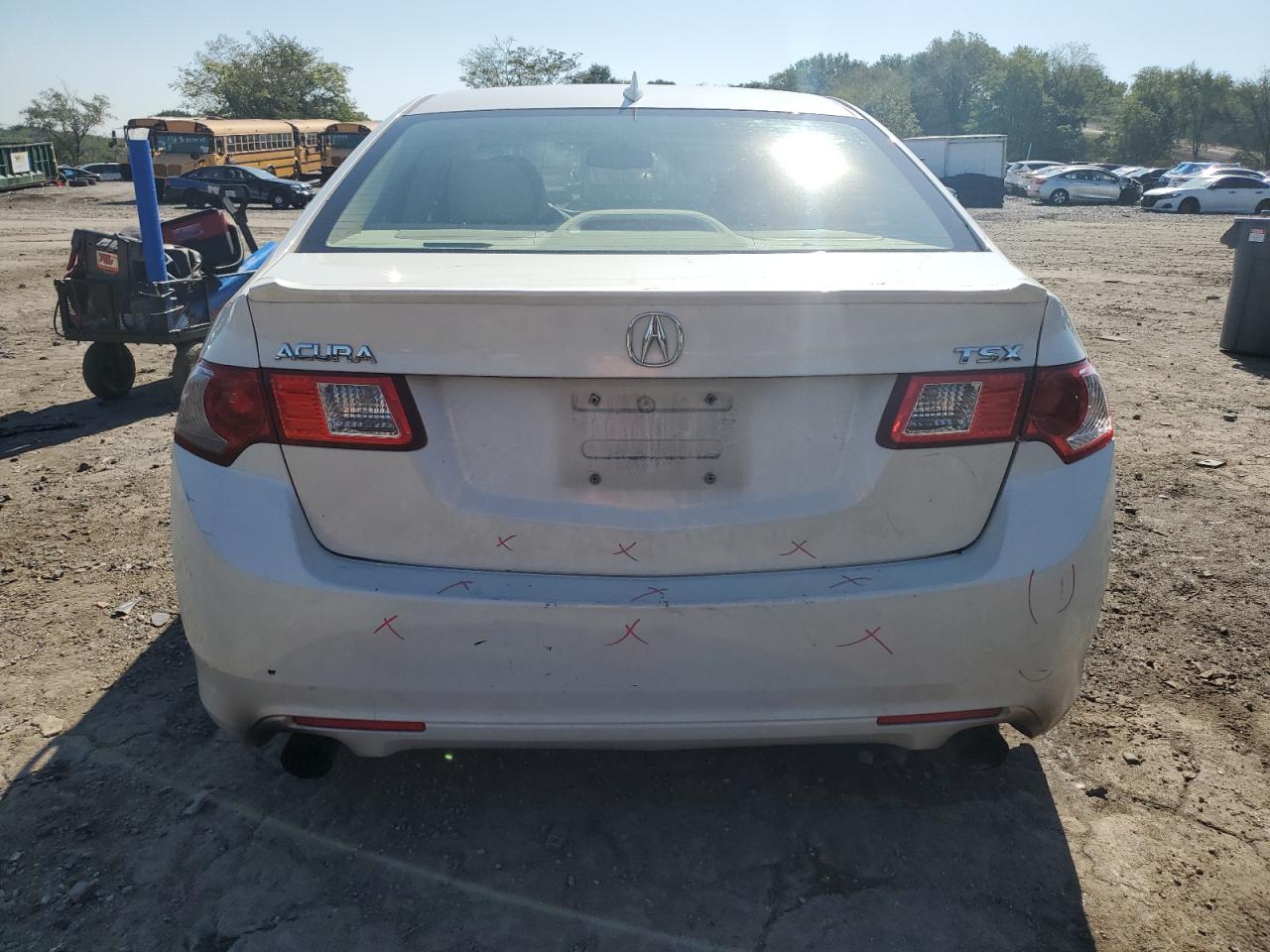 2009 Acura Tsx VIN: JH4CU26689C029970 Lot: 80193555