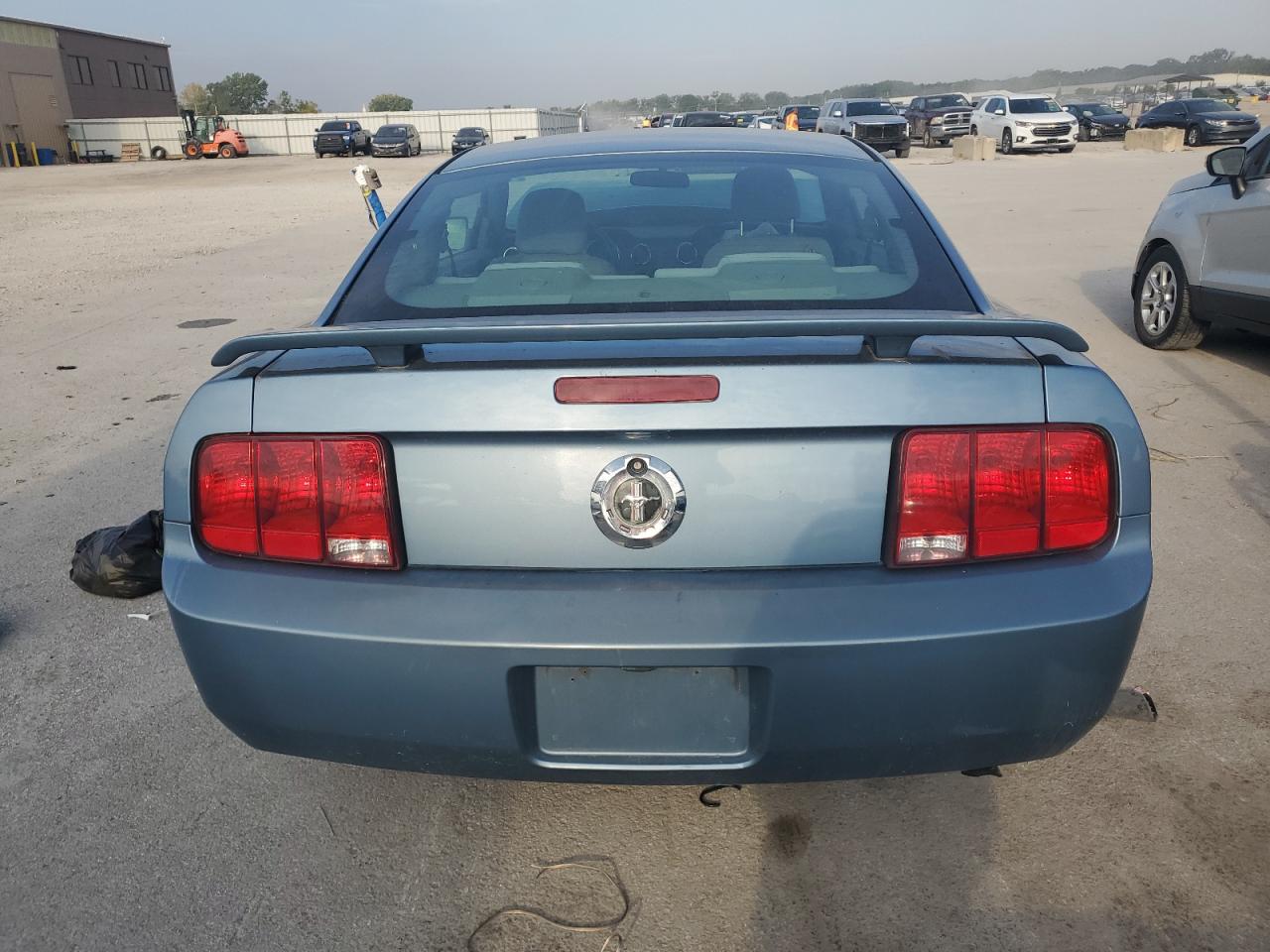2006 Ford Mustang VIN: 1ZVFT80N265113503 Lot: 81061075