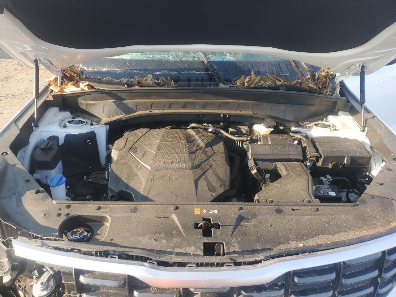 2023 Kia Telluride S VIN: 5XYP6DGC1PG337687 Lot: 81201785