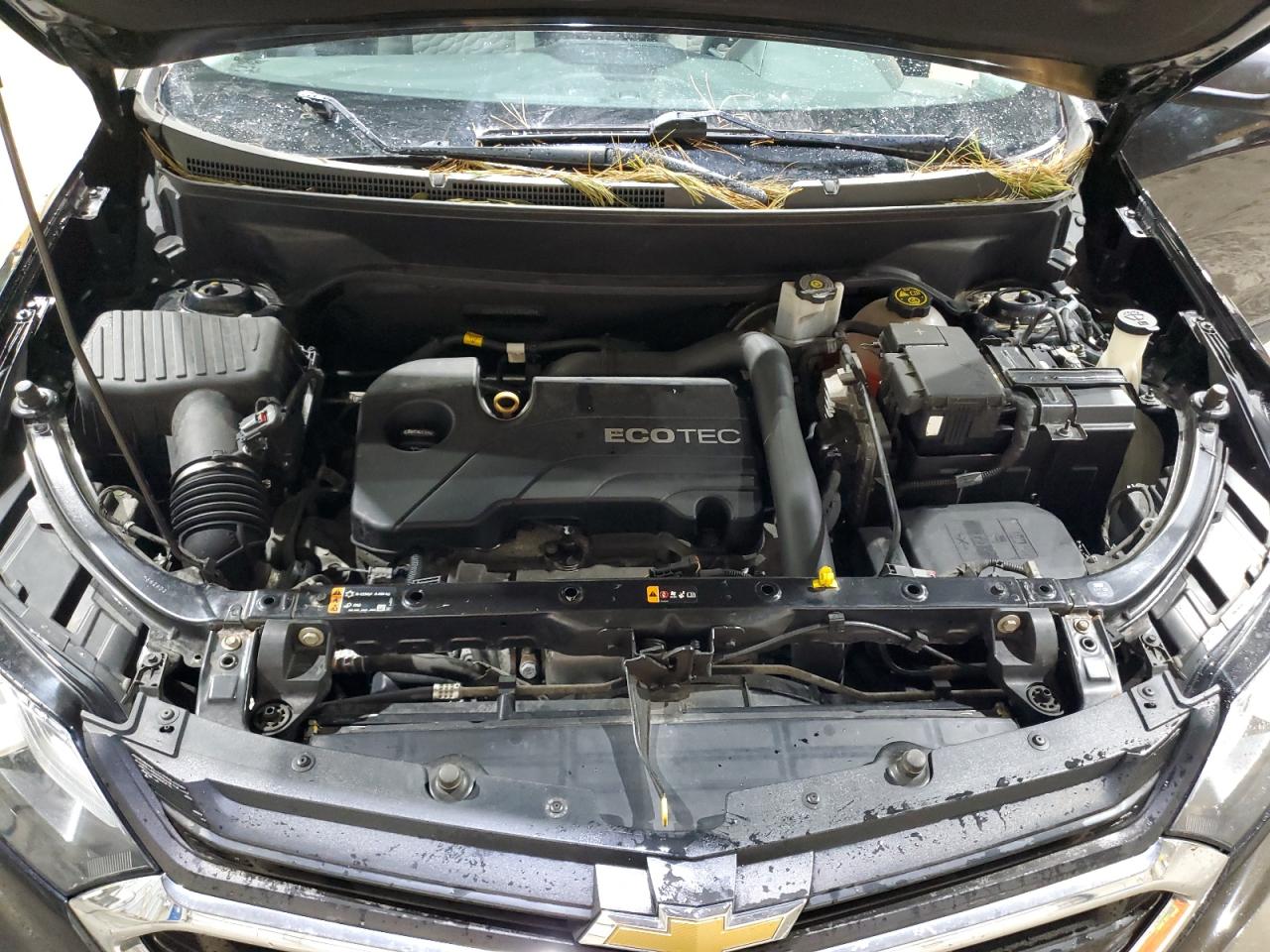 2019 Chevrolet Equinox Ls VIN: 3GNAXSEV7KL263700 Lot: 81366095