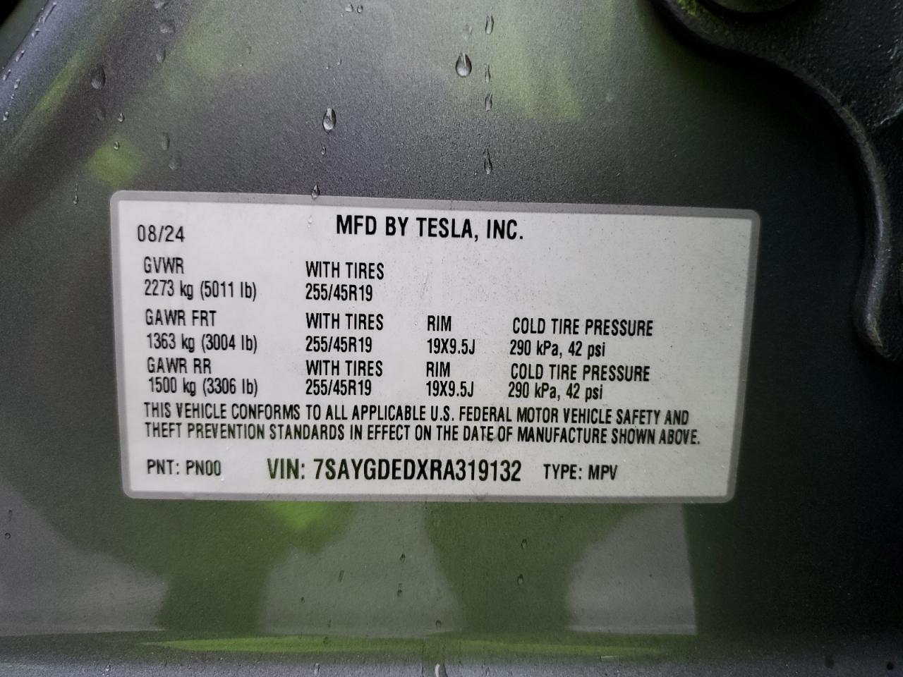 2024 Tesla Model Y VIN: 7SAYGDEDXRA319132 Lot: 81122455