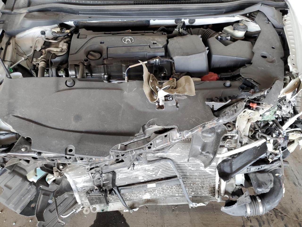 2019 Acura Ilx VIN: 19UDE2F3XKA007195 Lot: 81623895