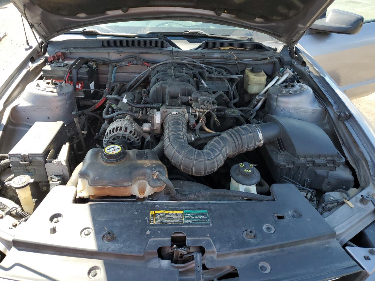 2007 Ford Mustang VIN: 1ZVFT80N675302933 Lot: 80001295