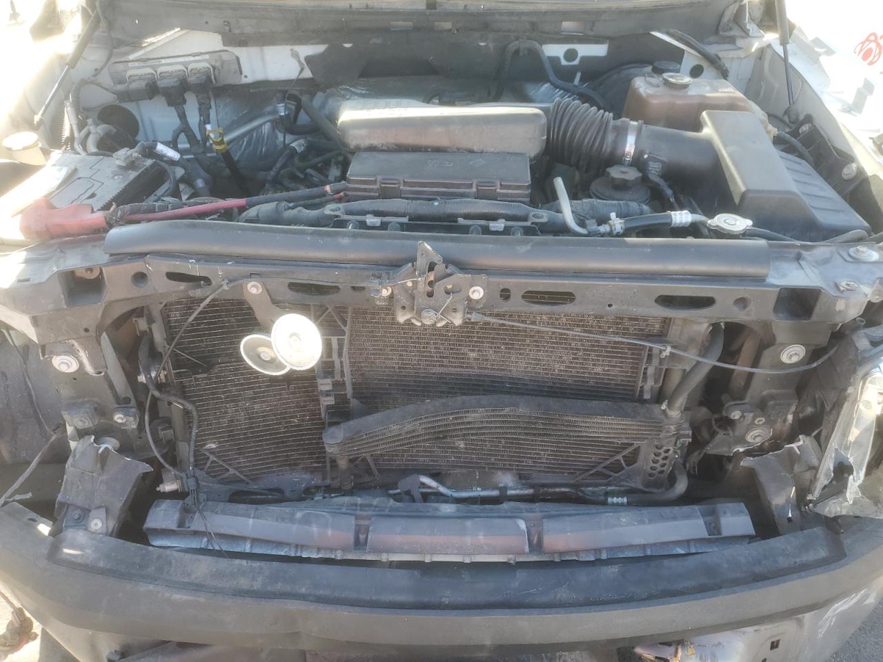 2010 Ford F150 VIN: 1FTMF1CW7AKB99009 Lot: 81612665