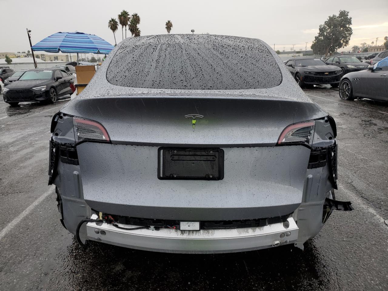 2024 Tesla Model Y VIN: 7SAYGDEDXRA319132 Lot: 81122455