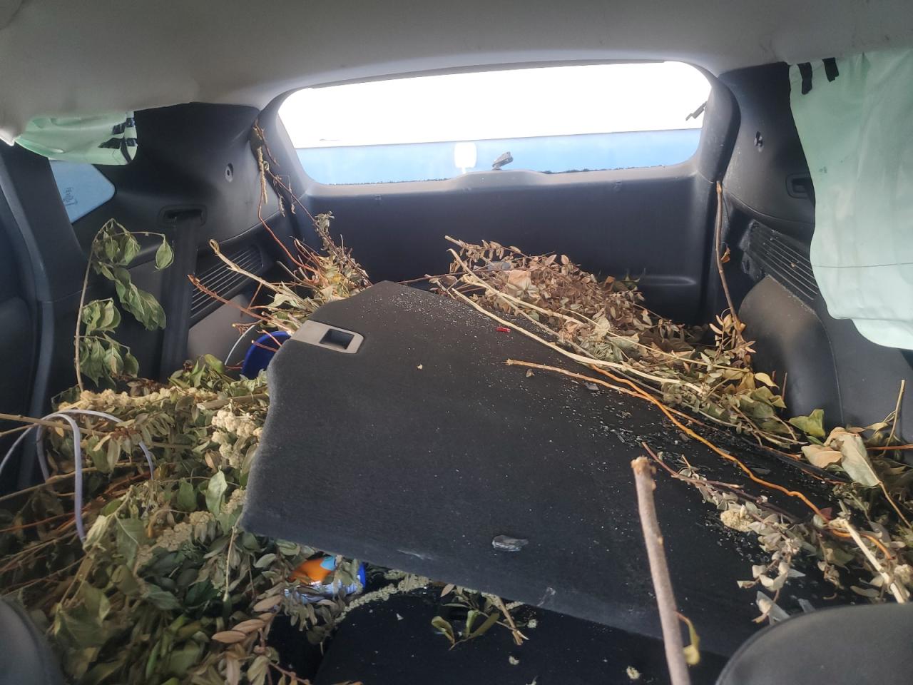 2021 Ford Escape Sel VIN: 1FMCU9CZ6MUA90670 Lot: 72050525