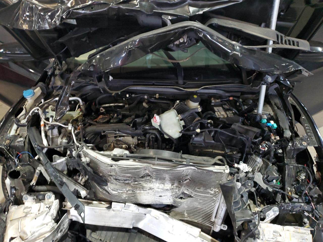 2019 Honda Civic Si VIN: 2HGFC3A58KH754504 Lot: 72081935