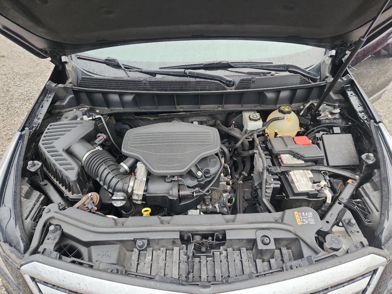 2019 Cadillac Xt5 Luxury VIN: 1GYKNDRS7KZ102684 Lot: 81744605