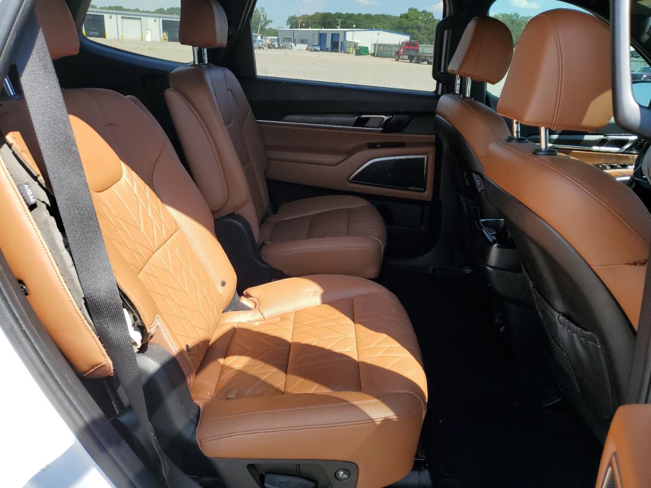 2023 Kia Telluride Sx VIN: 5XYP5DGC3PG363808 Lot: 71433525