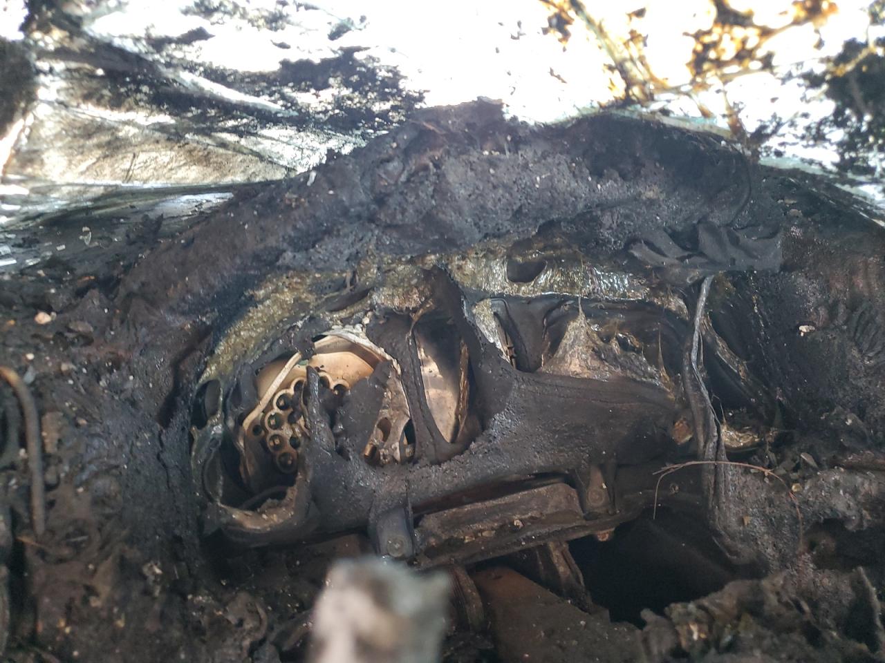 2011 Volkswagen Tiguan S VIN: WVGBV7AX0BW556285 Lot: 81702555