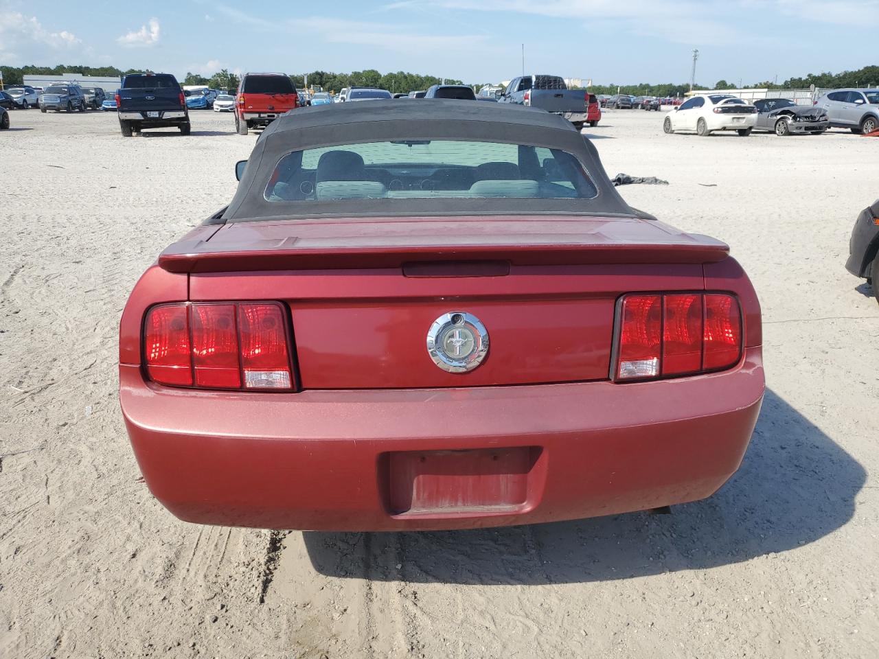 2008 Ford Mustang VIN: 1ZVHT84N985188107 Lot: 81092035