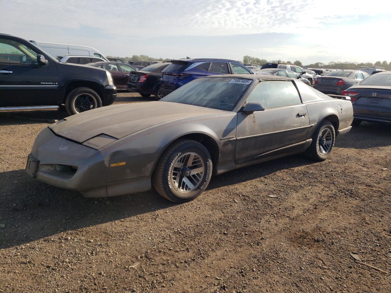 PONTIAC FIREBIRD 1991. Lot# 71667405. VIN 1G2FS23E6ML219061. Photo 1