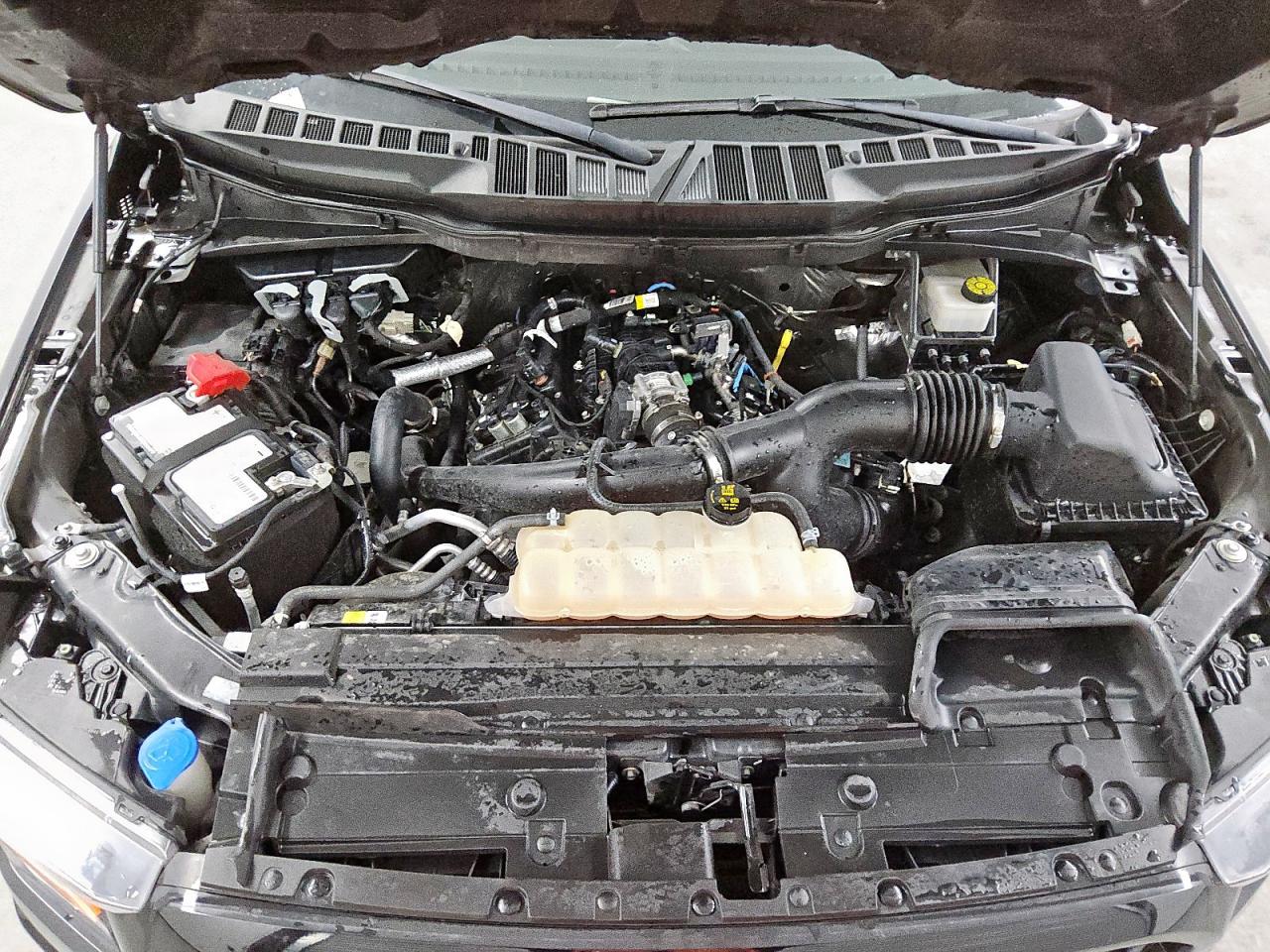 2023 Ford F150 Supercrew VIN: 1FTEW1CP1PKE60365 Lot: 81051505