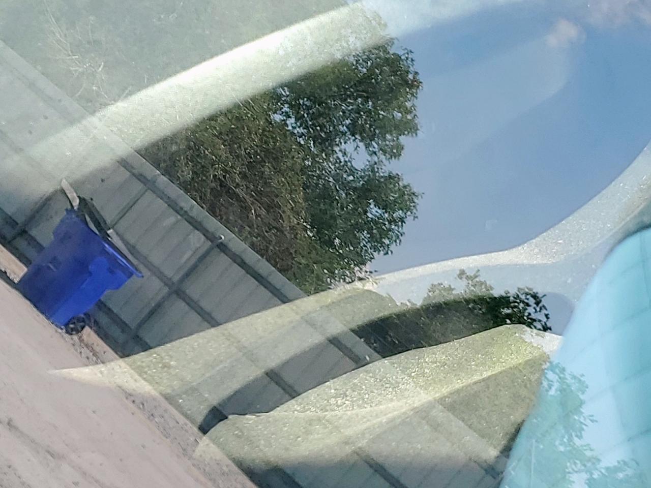 2006 Ford Focus Zx3 VIN: 1FAFP31N46W169466 Lot: 80192755