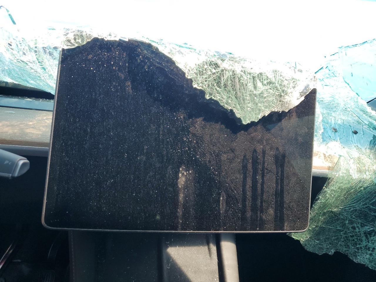 2025 Tesla Model Y VIN: 7SAYGDEE7SA348733 Lot: 70405155